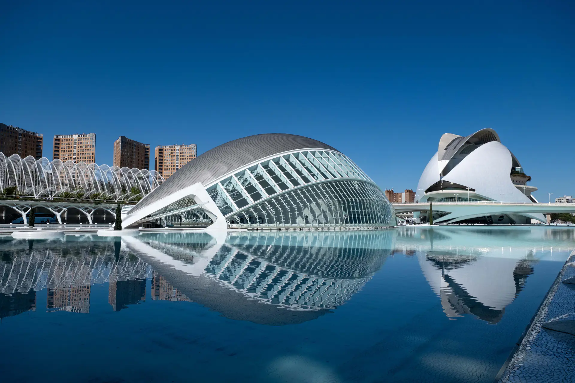 Ciutat de les Arts i les Ciències junto al estanque a plena luz del día, València
