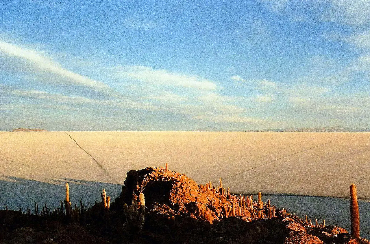 Salar de Uyuni visto desde la isla Incahuasi, con cactus en primer plano