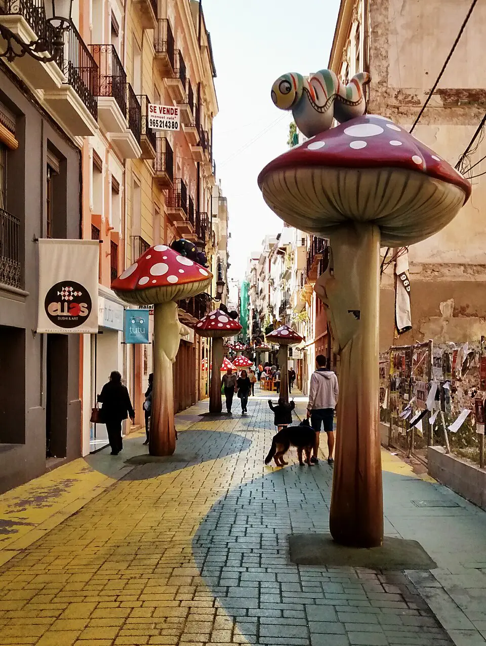 Calle de las Setas, Alicante