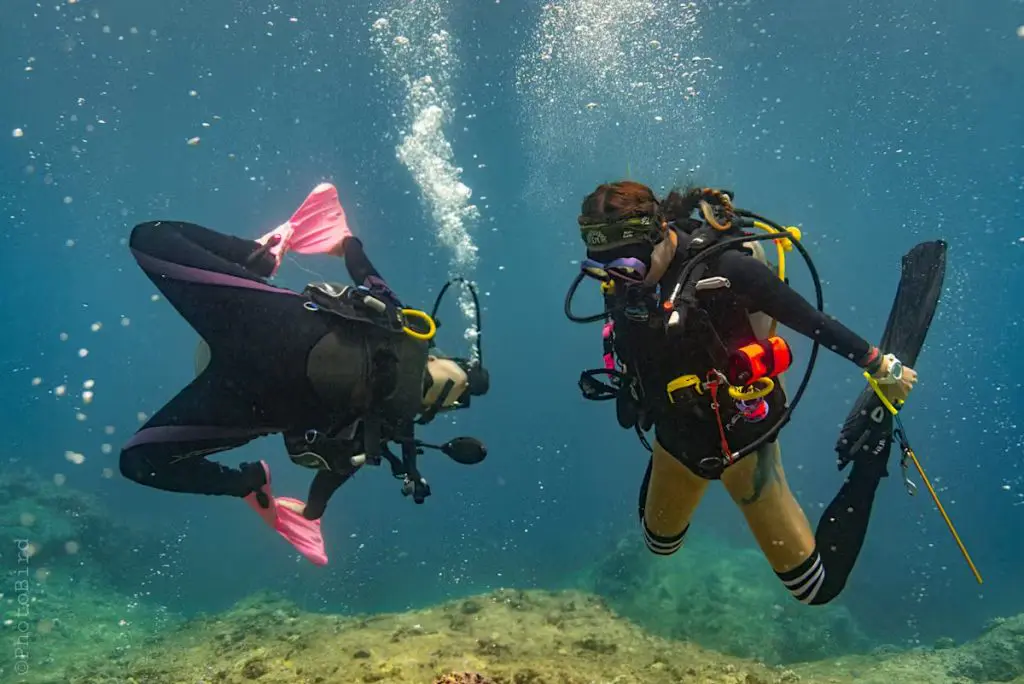 Bautismo de buceo con Waikiki Dive Center, Honolulu