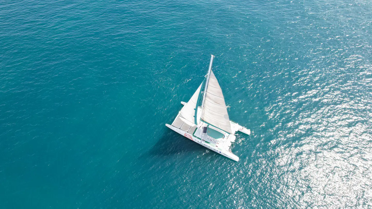 Catamarán al atardecer con Mundo Marino, Valencia