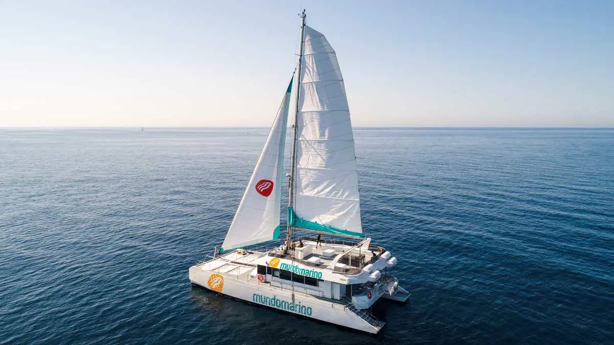Catamarán al atardecer con Mundo Marino, Valencia
