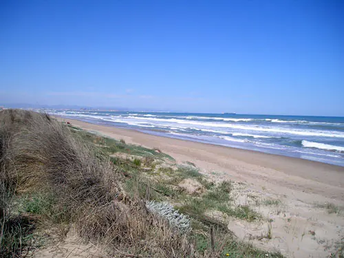 Vista de Devesa y playa de El Saler, Valencia
