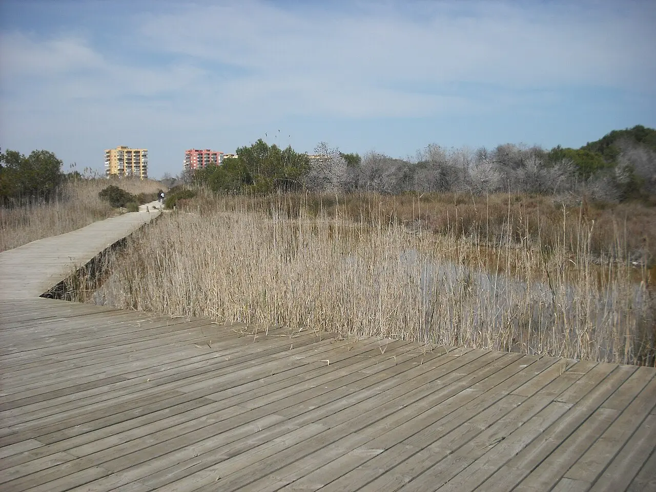 Entorno de Devesa y playa de El Saler, Valencia
