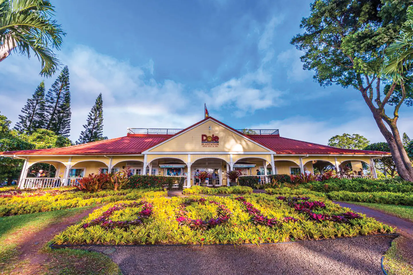 Dole Plantation, Wahiawā