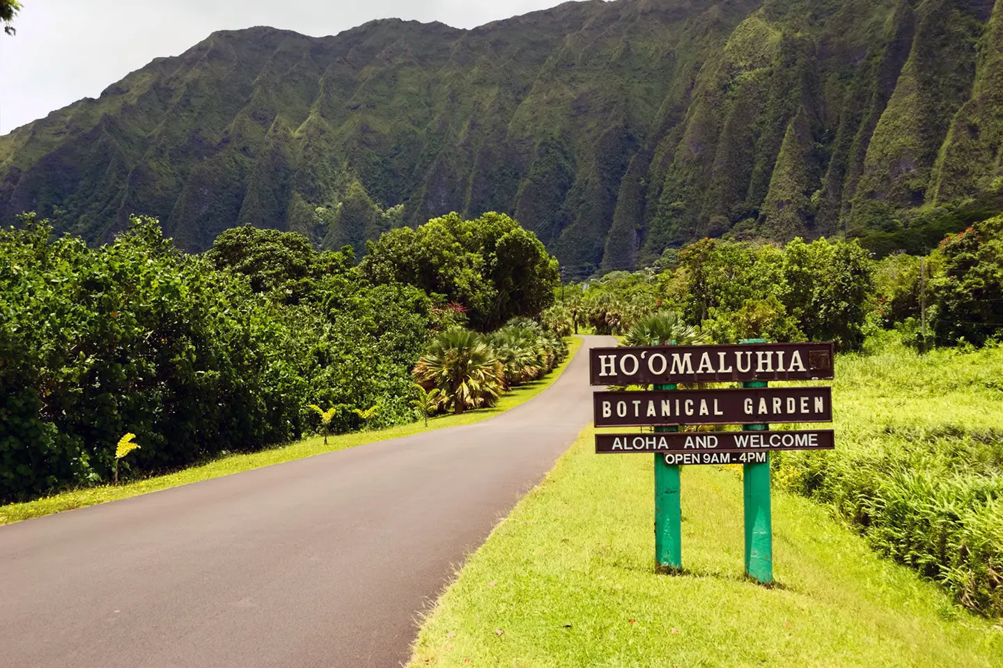 Montañas Koʻolau y vegetación de Hoʻomaluhia en Kāneʻohe
