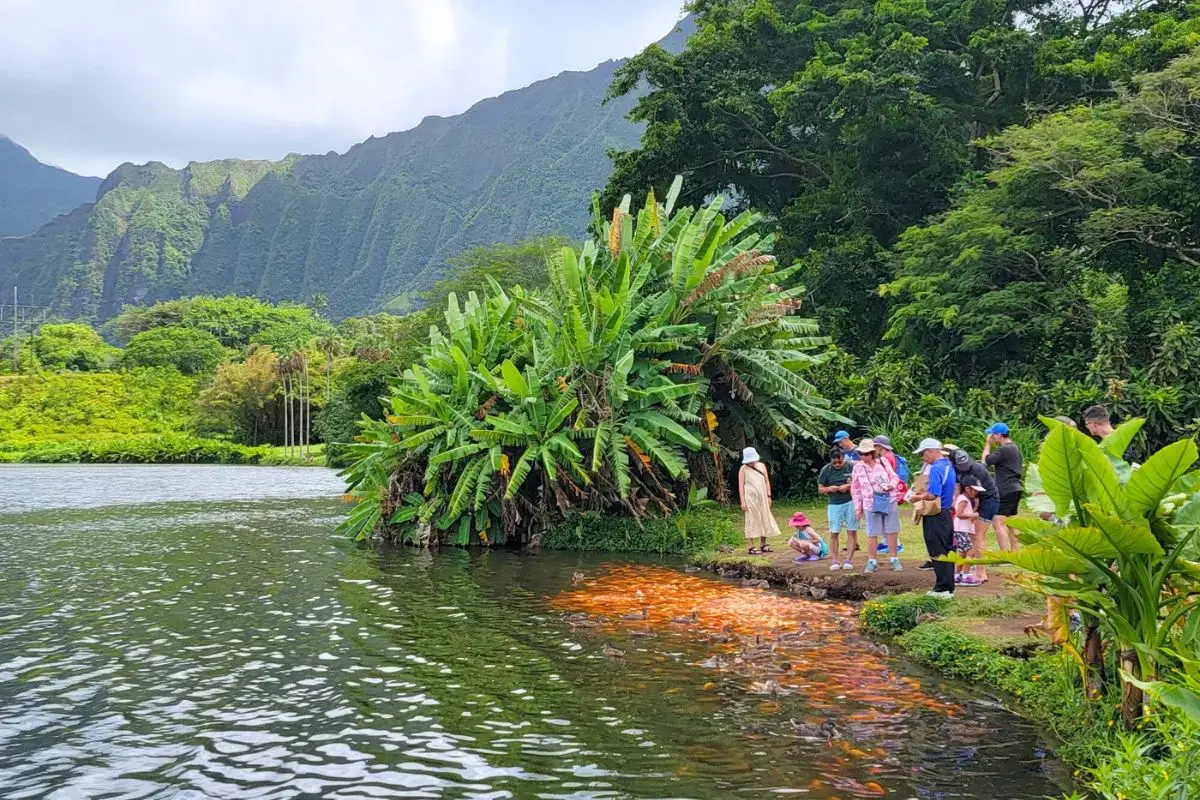 Hoʻomaluhia Botanical Garden, Kāneʻohe