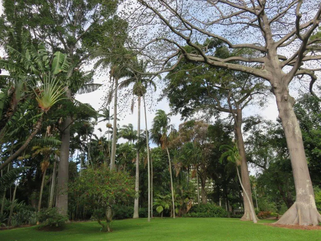 Foster Botanical Garden, Honolulu