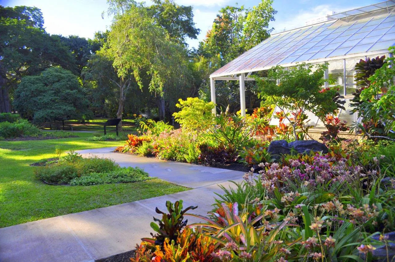 Foster Botanical Garden, Honolulu