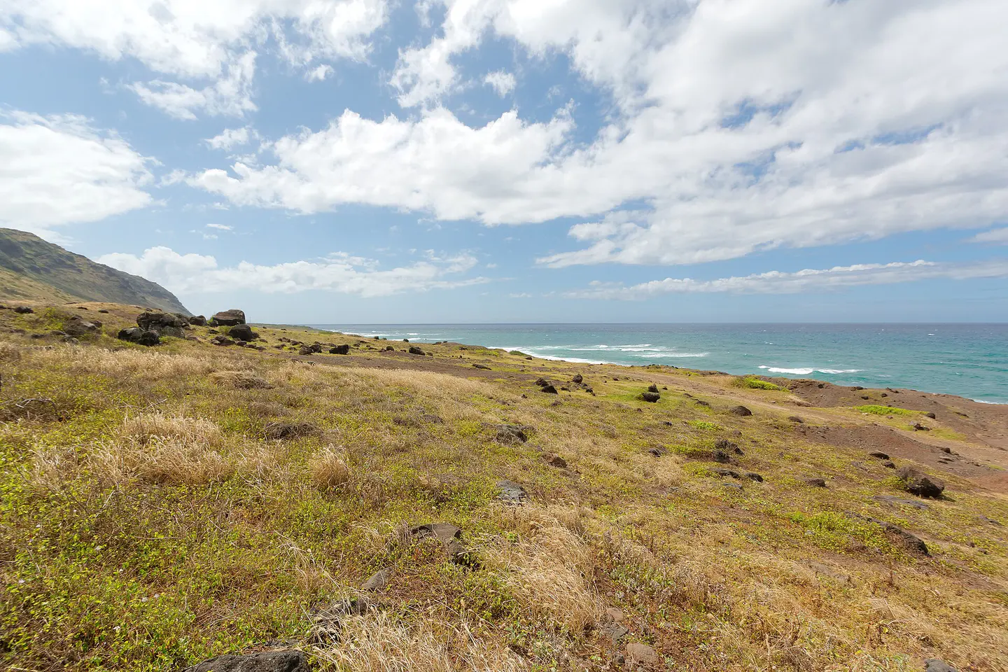 Costa abierta en la sección Mokuleʻia de Kaʻena Point State Park