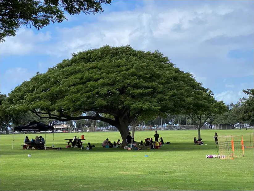 Kapiʻolani Regional Park, Honolulu