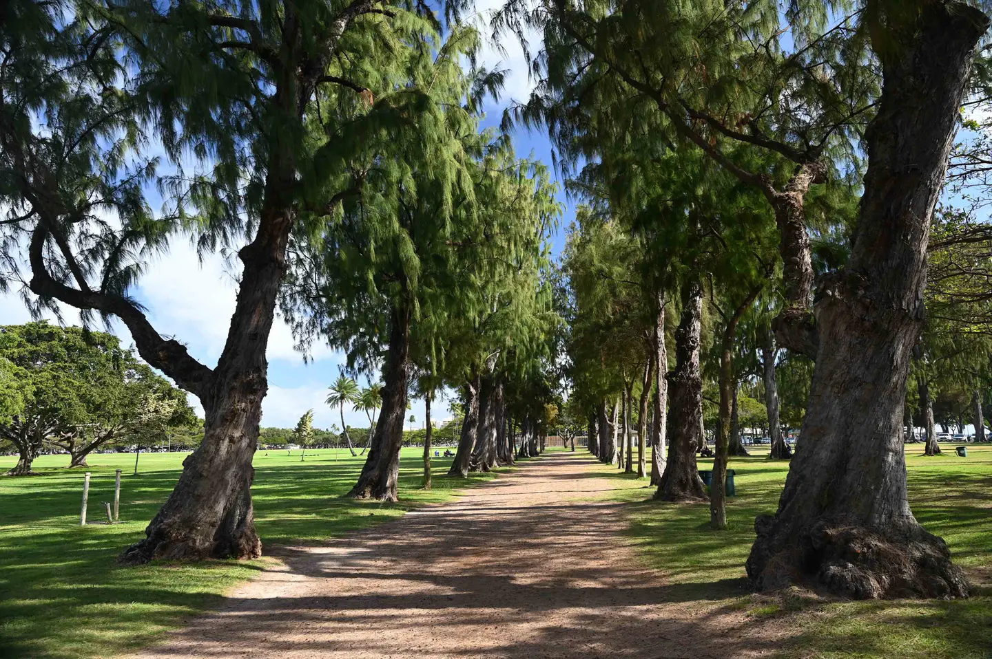 Kapiʻolani Regional Park, Honolulu