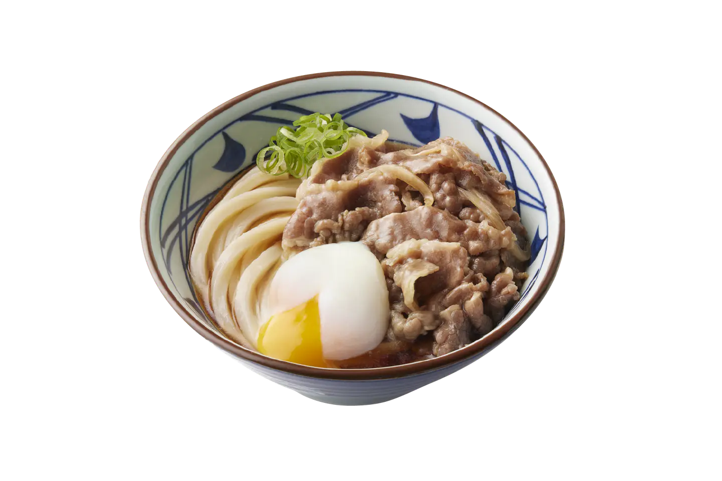 Plato de fideos de Marugame Udon