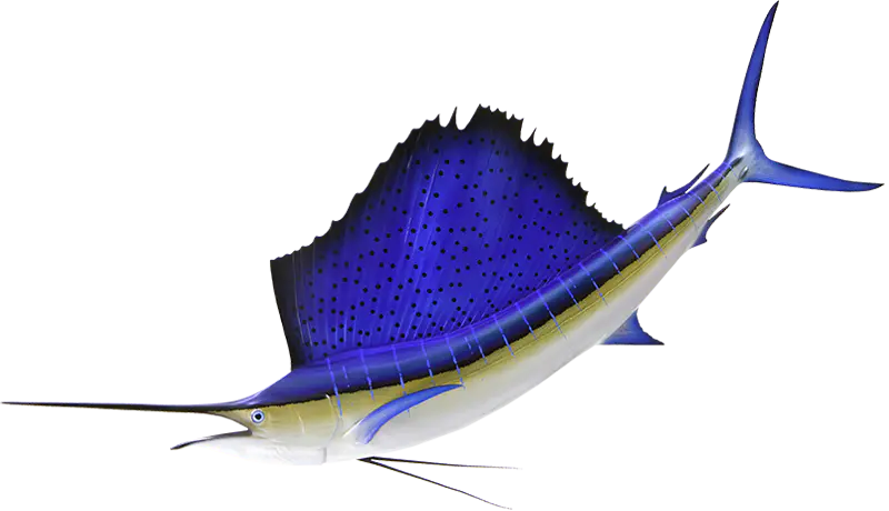 Pesca deportiva con Whipsaw Sportfishing, Honolulu