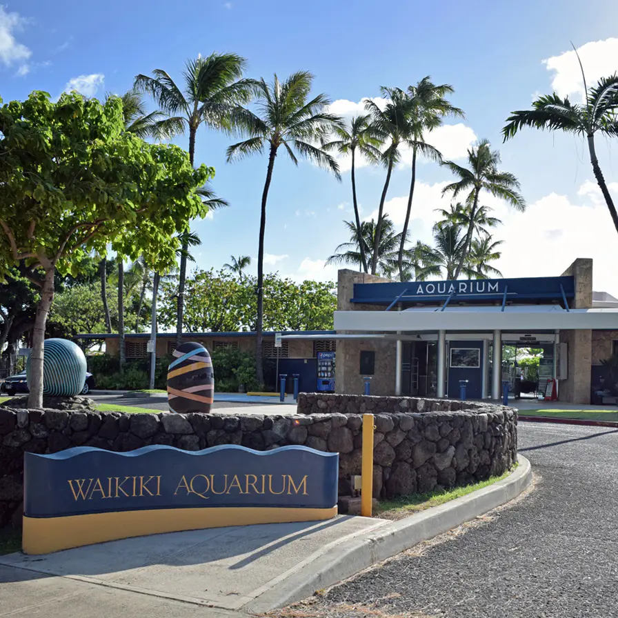 Waikīkī Aquarium, Honolulu