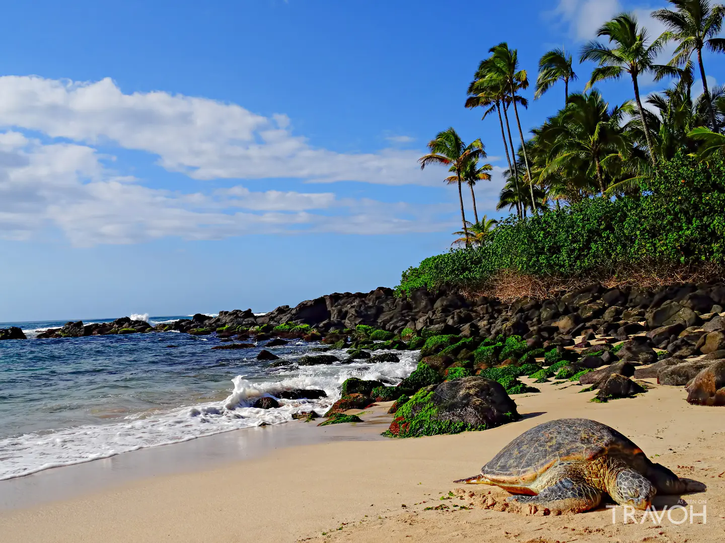 Laniakea Beach, Haleʻiwa