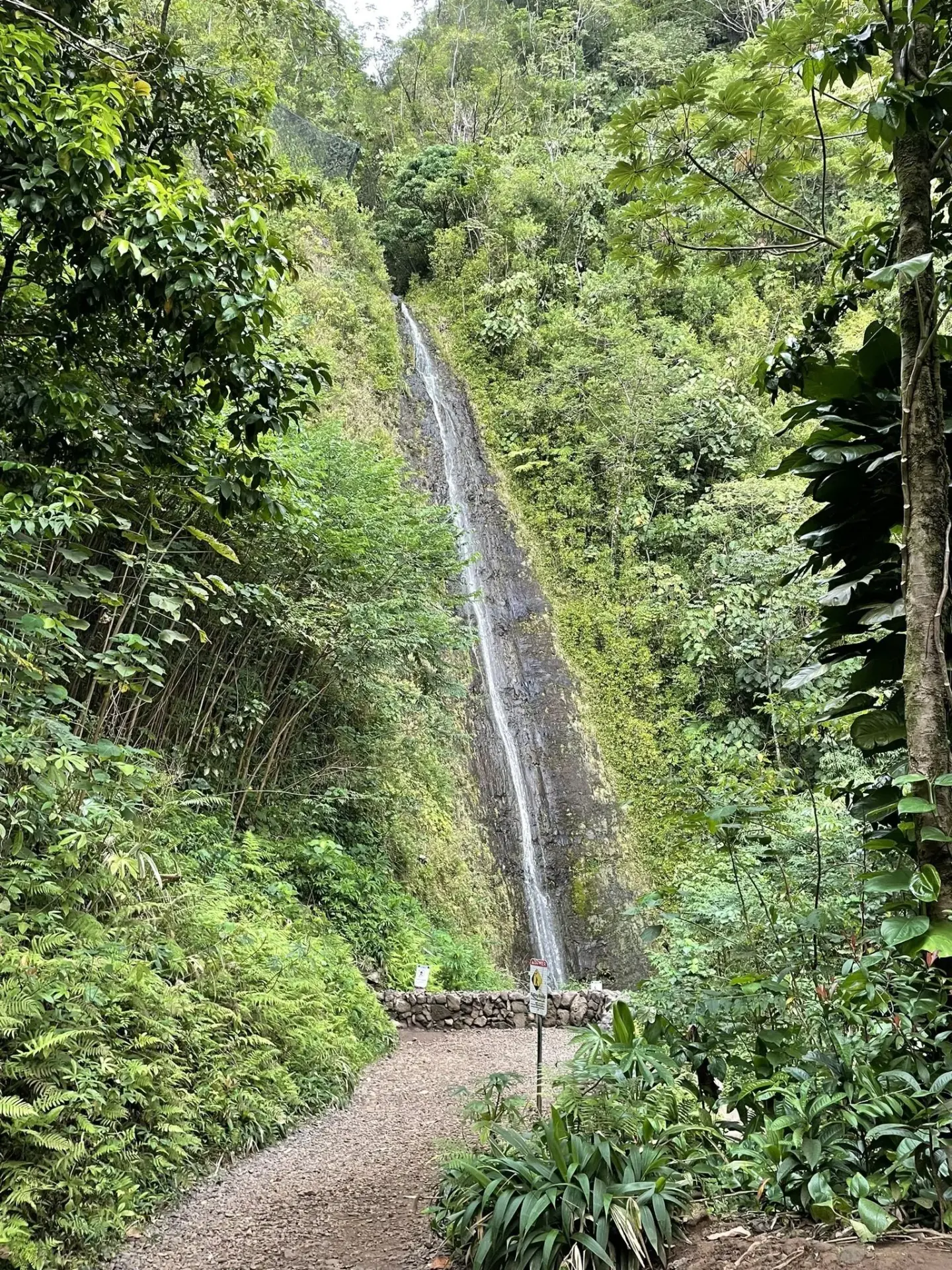 Mānoa Falls Trail, Honolulu