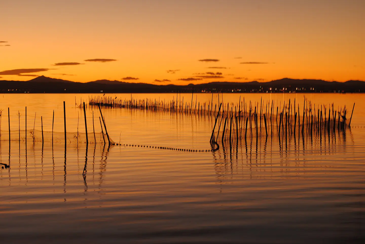 Vista de Parque Natural de l’Albufera, Valencia