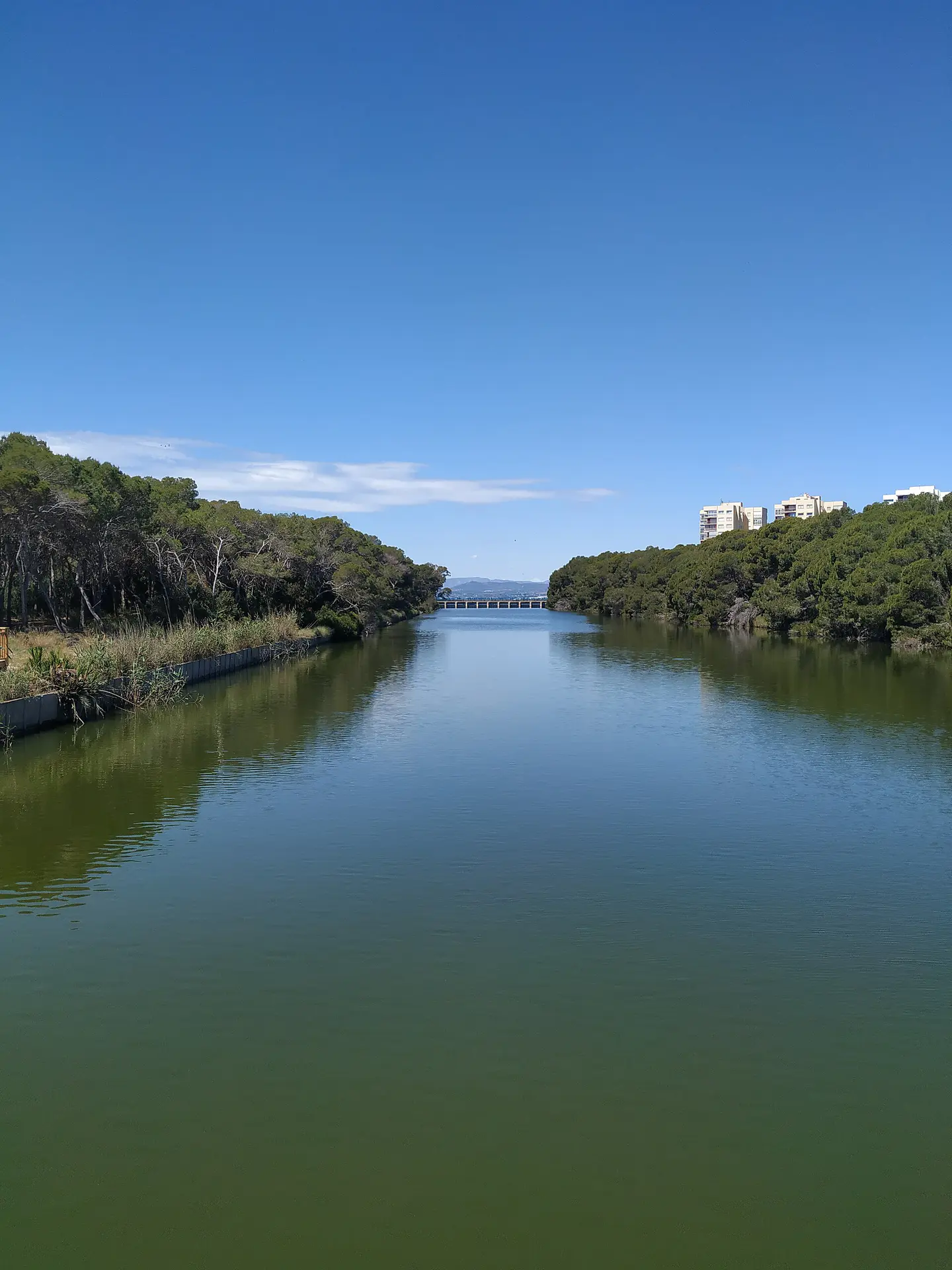 Entorno de Parque Natural de l’Albufera, Valencia