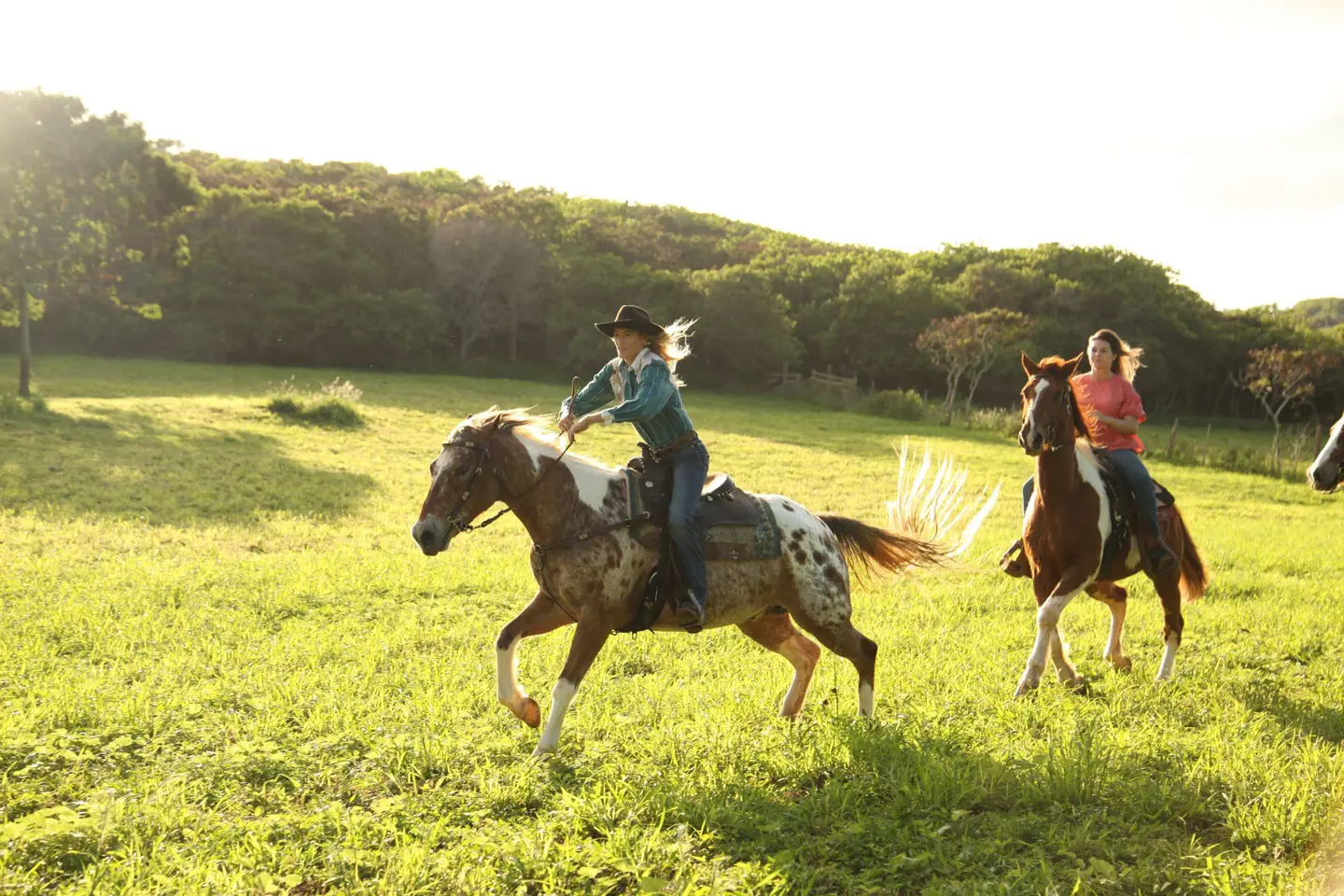 Paseo a caballo con Gunstock Ranch, Kahuku