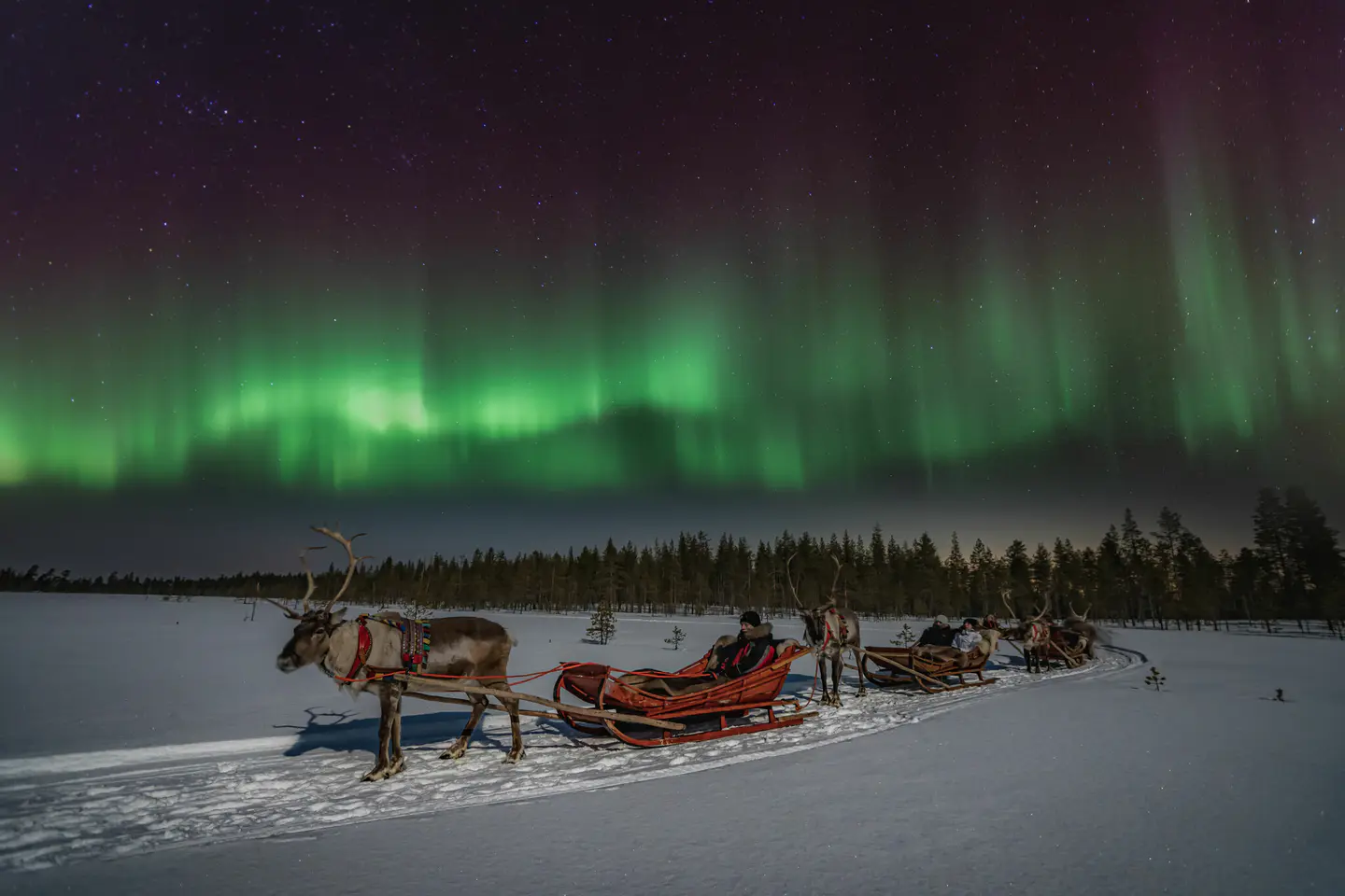Paseo en trineo de renos con Santa Claus Reindeer, Rovaniemi