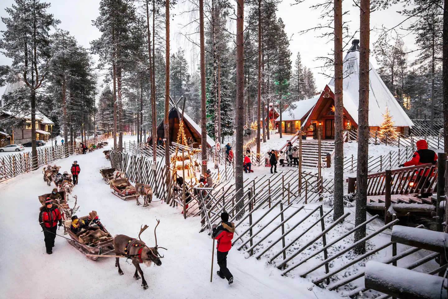 Paseo en trineo de renos con Santa Claus Reindeer, Rovaniemi