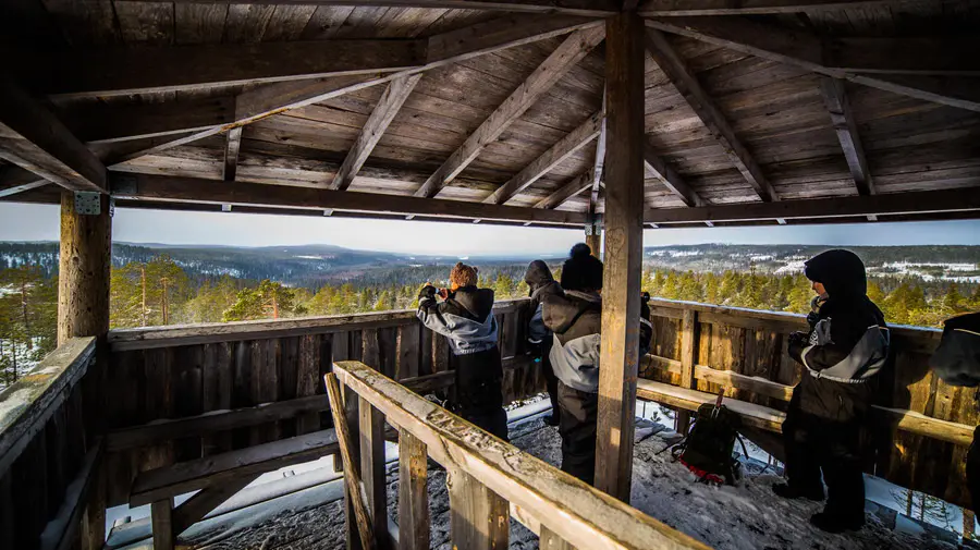 Detalle característico de Auttiköngäs en invierno en Rovaniemi