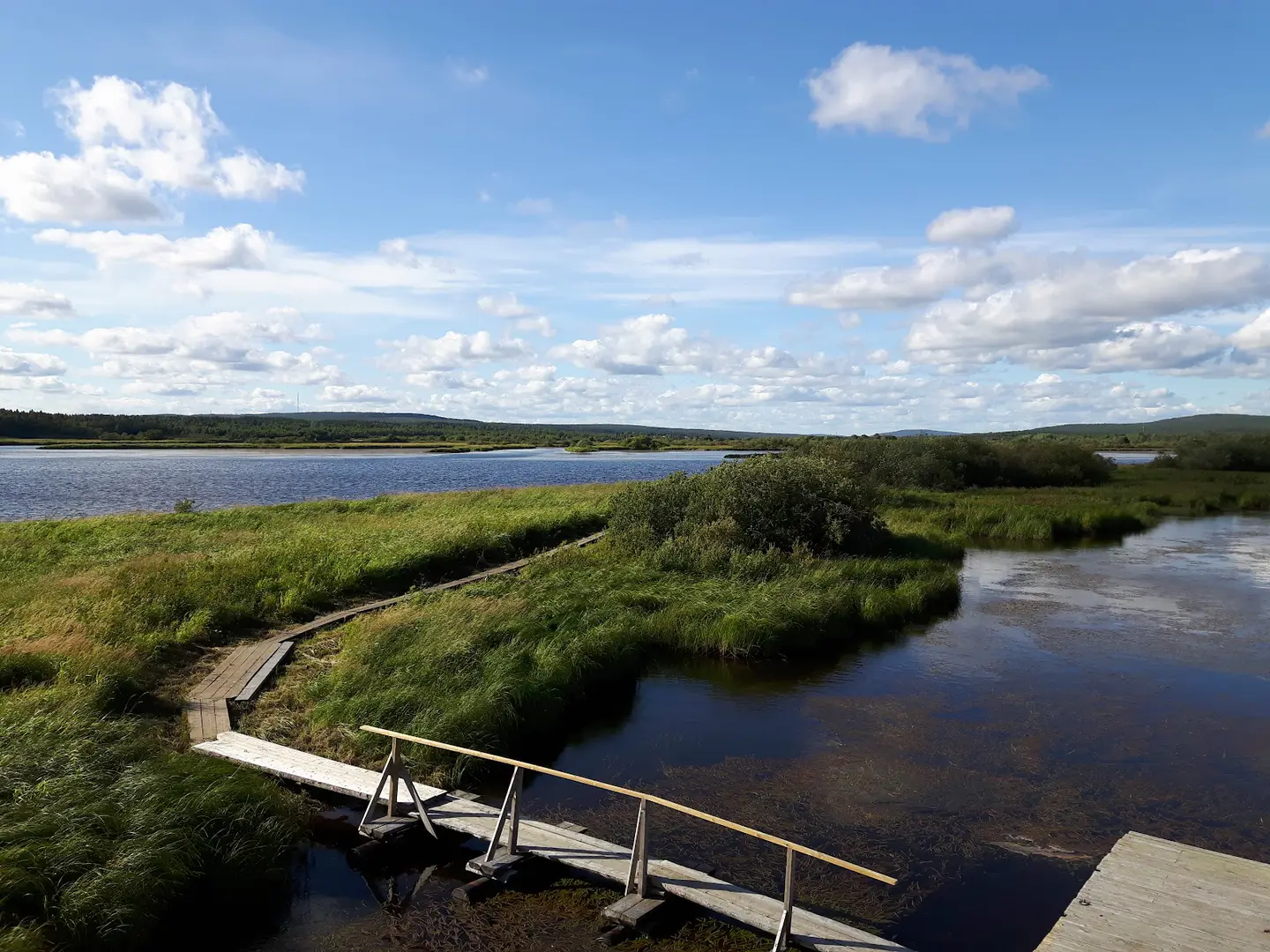 Koivusaari Nature Trail, Rovaniemi