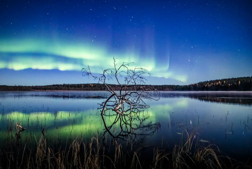 Vista general de Lago Olkkajärvi en Rovaniemi