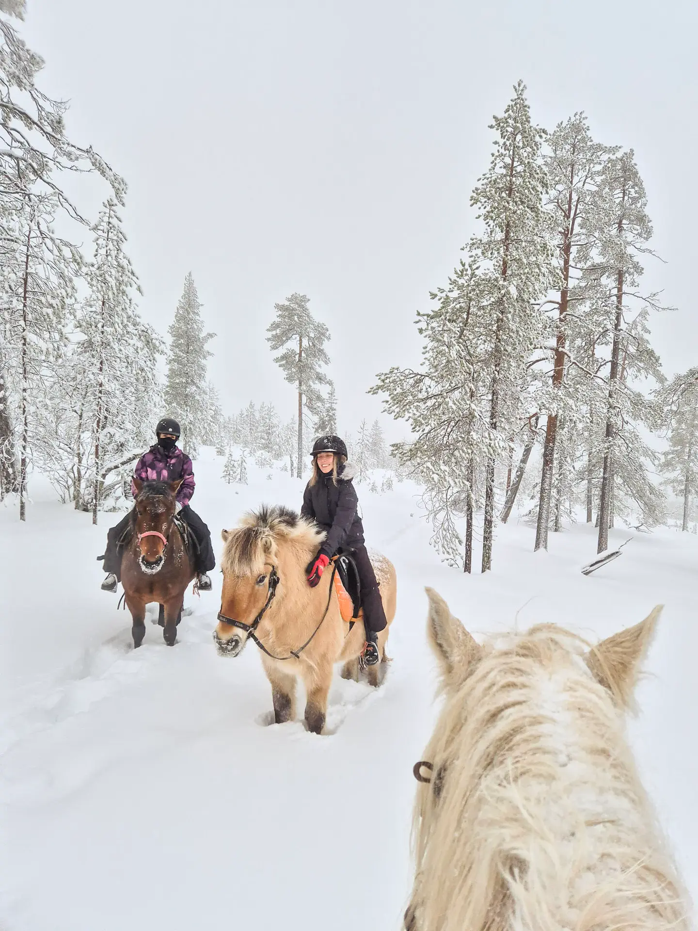 Ruta a caballo con Ranch Kuulas, Rovaniemi