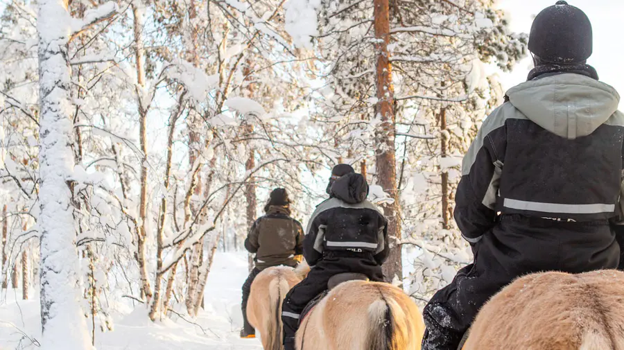 Ruta a caballo con Ranch Kuulas, Rovaniemi