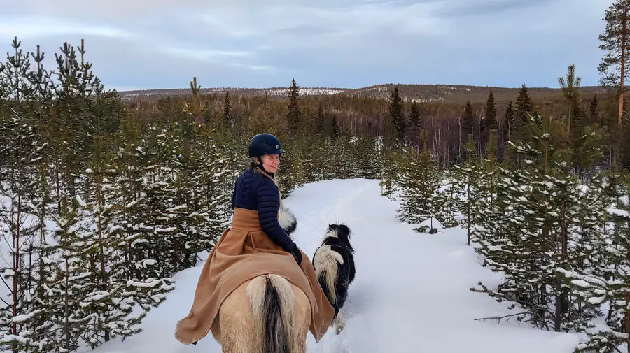 Ruta a caballo con Ranch Kuulas, Rovaniemi