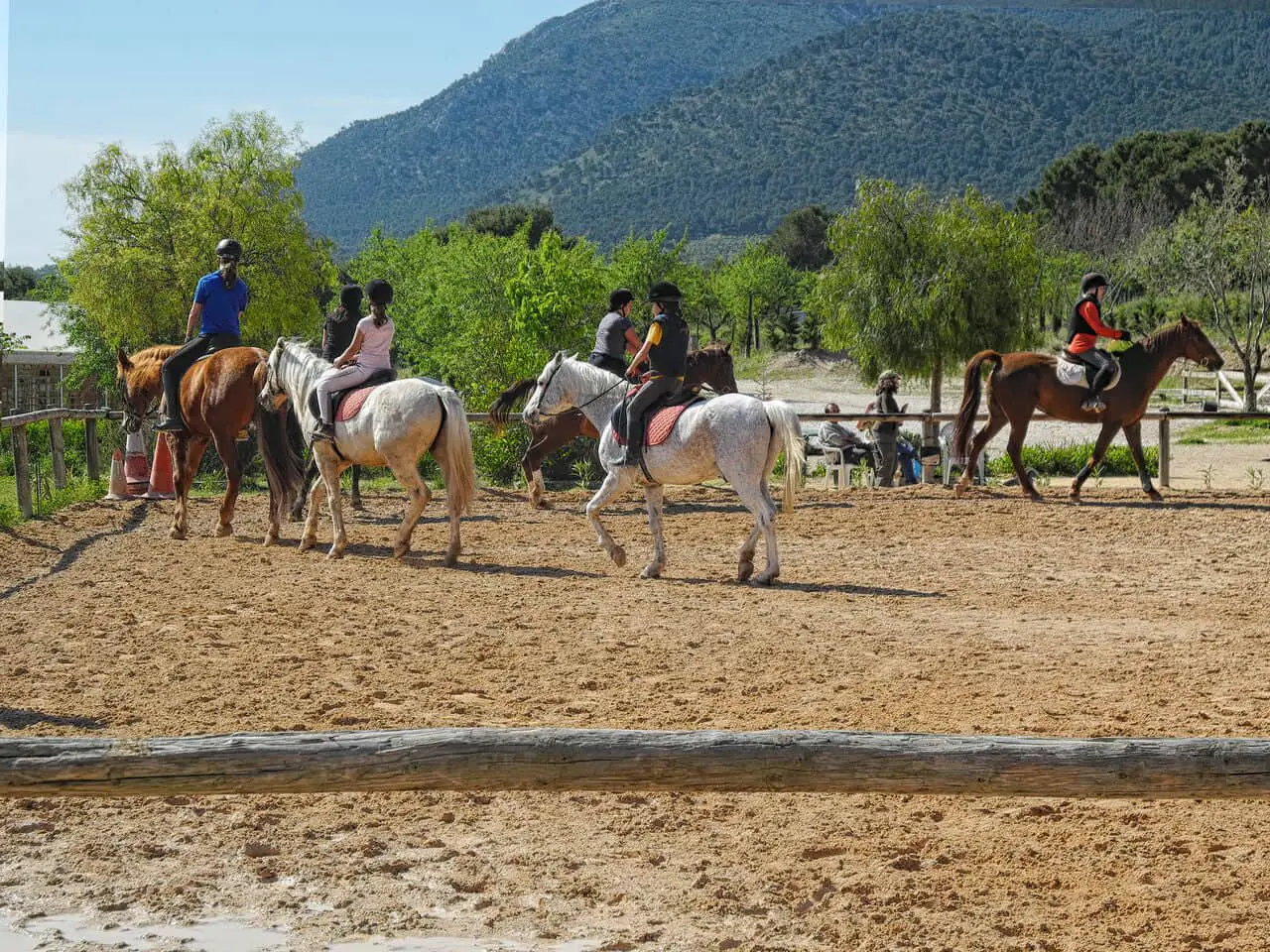 Ruta a caballo con Hípica La Mina, Alicante