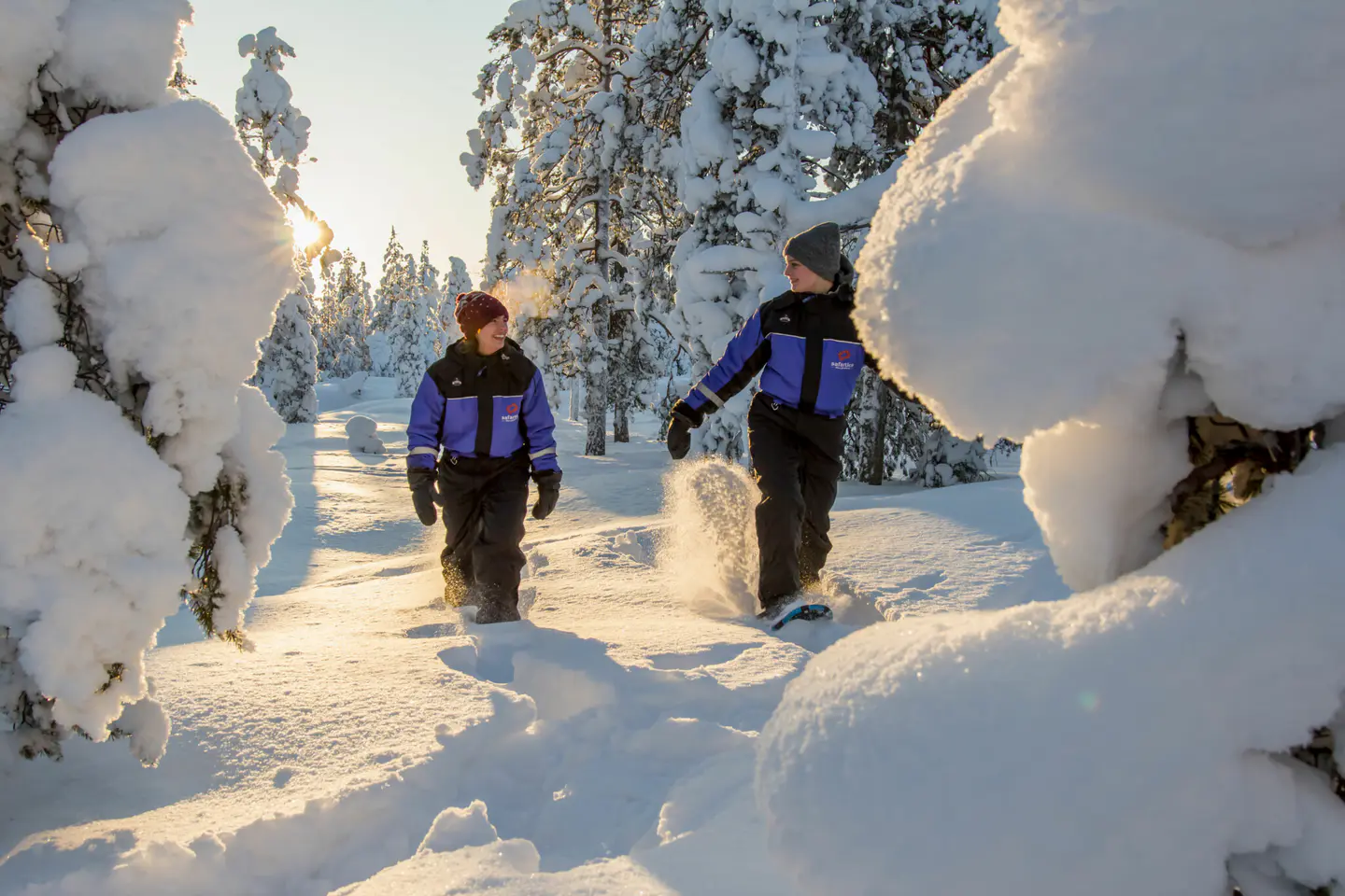 Ruta con raquetas de nieve con Safartica, Rovaniemi