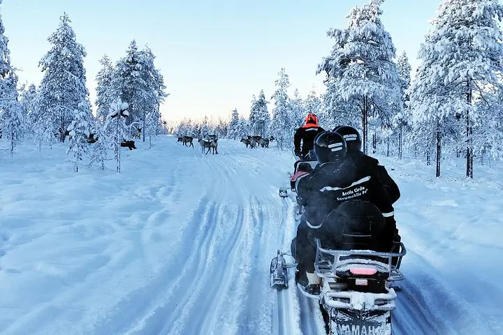 Safari en motonieve con Arctic Circle Snowmobile Park, Rovaniemi