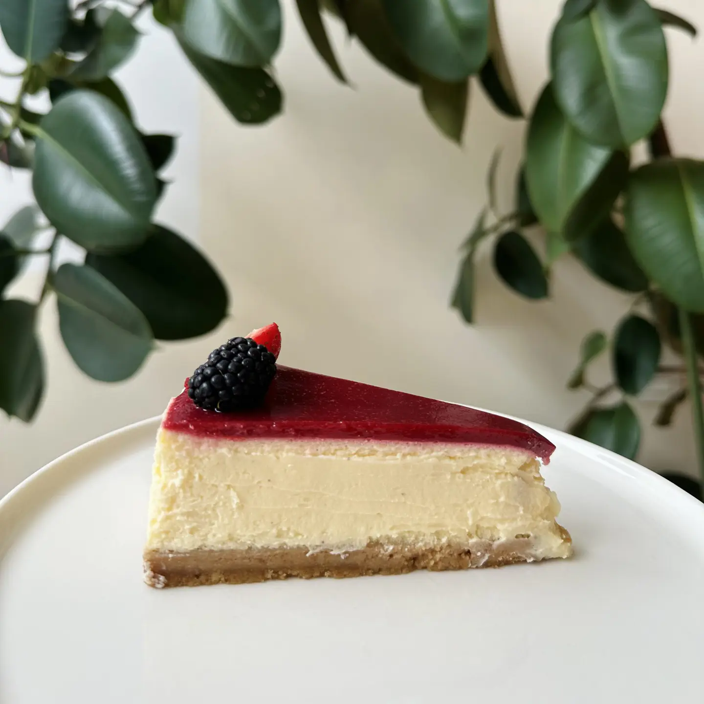 Salt in Cake, Alicante