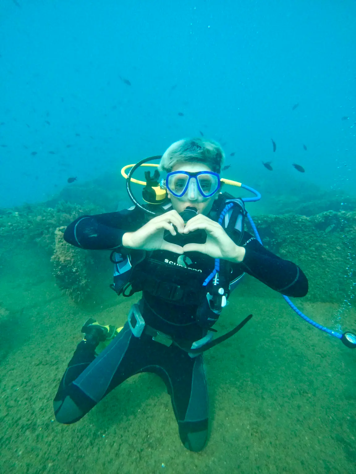 Bautismo de buceo con Manta Diving, Valencia