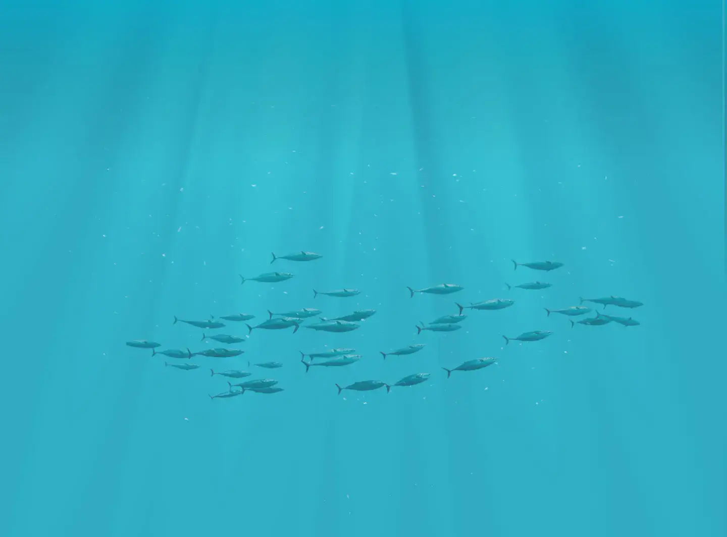 Oceanogràfic de València, Valencia