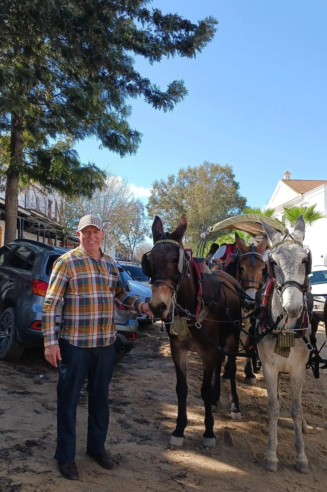 Ruta a caballo con Club Hípico Recati, Valencia