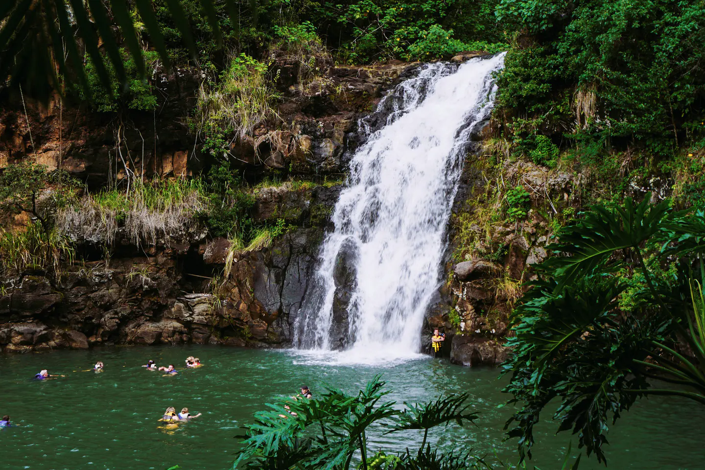 Waimea Valley, Haleʻiwa